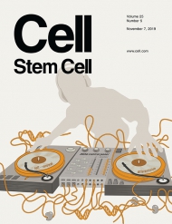 Cell - Stem Cell