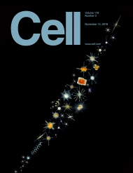 Cell