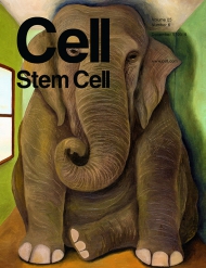 Cell - Stem Cell