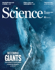 Science 