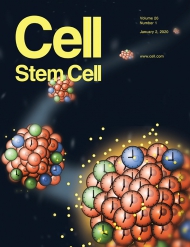 Cell - Stem Cell