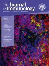 The Journal of Immunology 