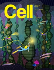Cell