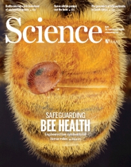Science 
