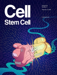 Cell - Stem Cell