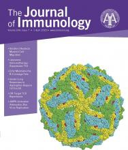 The Journal of Immunology