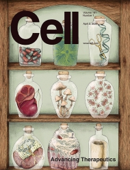 Cell