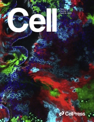 Cell