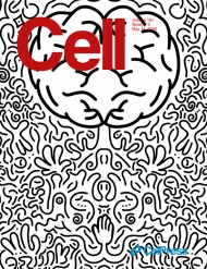 Cell