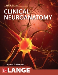 Clinical Neuroanatomy, 29th edition
