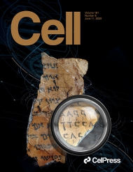 Cell 
