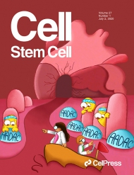 Cell - Stem cell