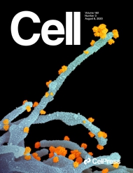 Cell