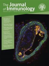 The Journal of Immunology 