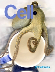 Cell