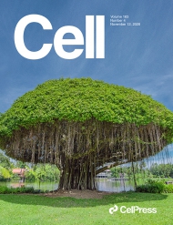 Cell