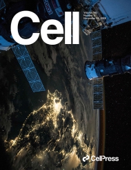 Cell