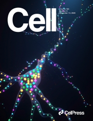 Cell