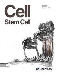 Cell Stem Cell