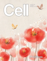 Cell