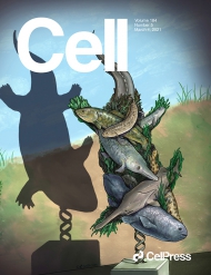 Cell