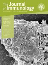 The Journal of Immunology 