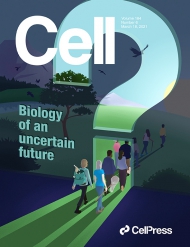 Cell
