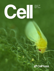 Cell 
