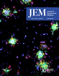 JEM