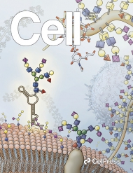 Cell