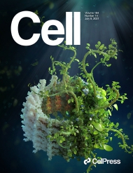 Cell 