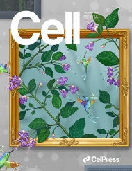 Cell