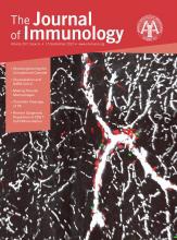 The Journal of Immunology