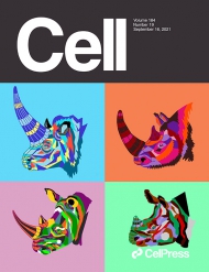 Cell