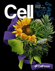 Cell