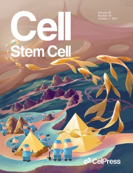 Cell Stem Cell