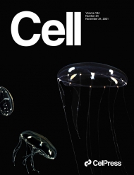 Cell