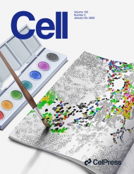 Cell