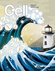 Cell