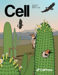Cell