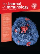 The Journal of Immunology