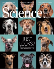 Science
