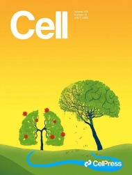 Cell