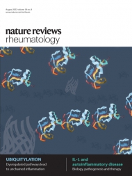 Nature Rewievs Rheumatology