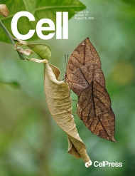 Cell