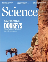 Science
