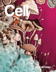 Cell