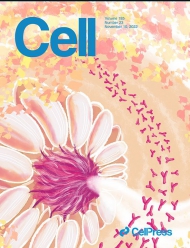 Cell