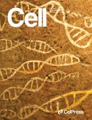 Cell