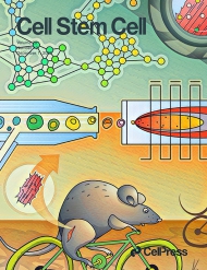 Cell - Stem Cell